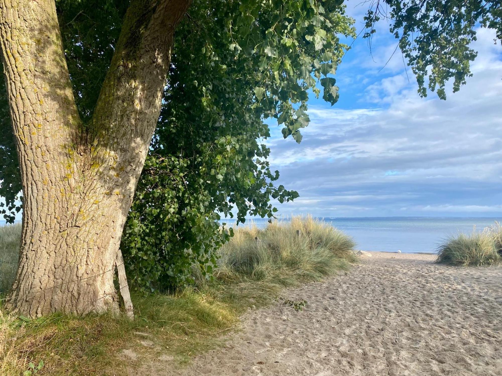 Feriendorf Suedstrand Haus 49 Pelzerhaken Dış mekan fotoğraf